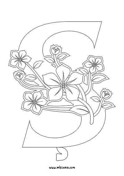 Boyamaya Uygun Png Ş Harfi - Model 4