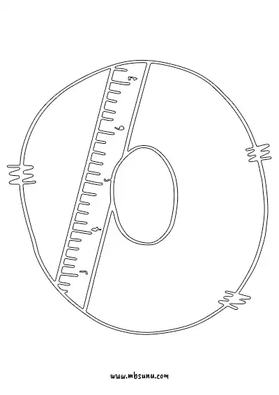 Boyamaya Uygun Png O Harfi - Model 4
