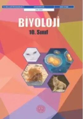 2024-2025 Yılı Fen Lisesi 10.Sınıf Biyoloji Ders Kitabı