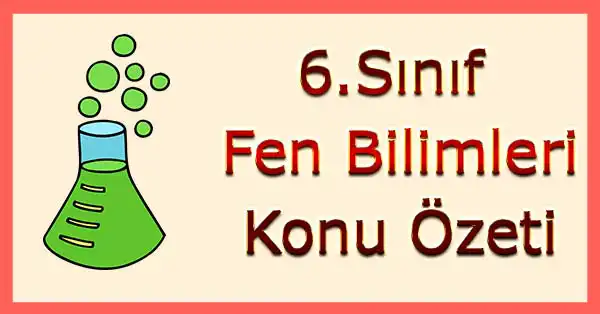 6. Sınıf Fen Bilimleri - 2. Ünite (Vücudumuzdaki Sistemler) Konu Özeti (Gün Yayınları)